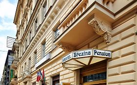 Brezina Pension